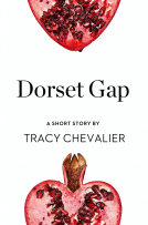 book cover for Dorset Gap
