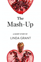 book cover for The Mash-Up