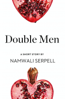 book cover for Double Men