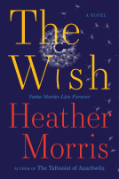 book cover for The Wish