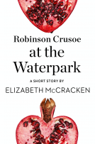 book cover for Robinson Crusoe at the Waterpark
