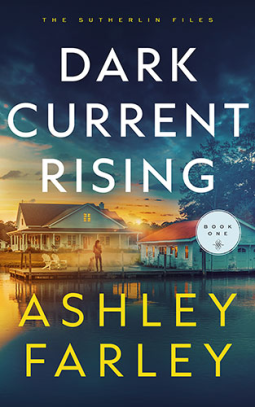 book cover for Dark Current Rising