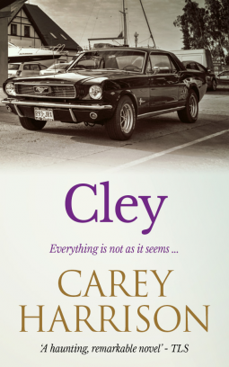 book cover for Cley