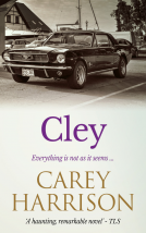 book cover for Cley