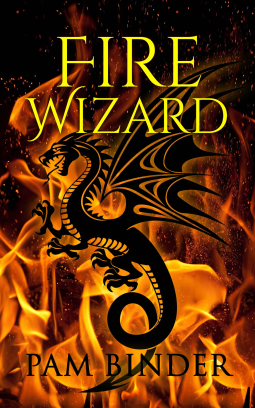 book cover for Fire Wizard