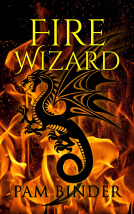 book cover for Fire Wizard