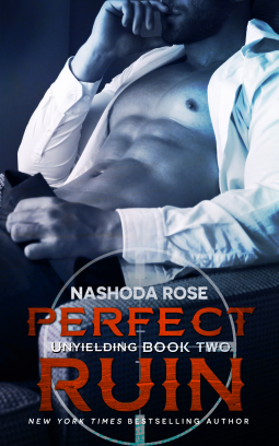 book cover for Perfect Ruin