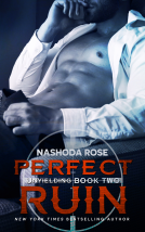 book cover for Perfect Ruin