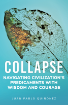 book cover for Collapse