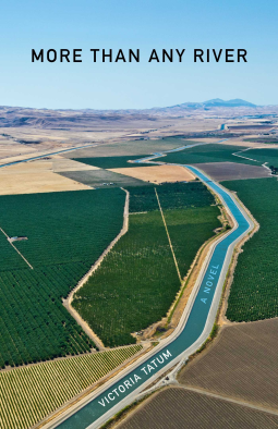 book cover for More Than Any River