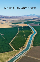 book cover for More Than Any River