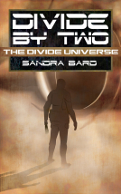 book cover for Divide by Two