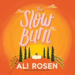 book cover for The Slow Burn