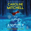 book cover for The Ice Angels