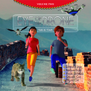book cover for EYE OF THE DRONE