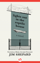 book cover for Lights Out in the Reptile House