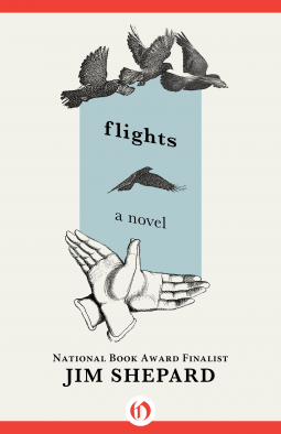 book cover for Flights