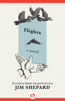 book cover for Flights