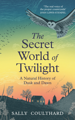 book cover for The Secret World of Twilight