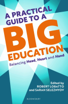 book cover for A Practical Guide to a Big Education