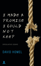 book cover for I Made a Promise I Could Not Keep