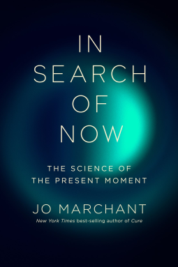 book cover for In Search of Now