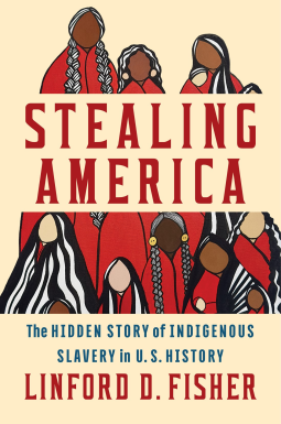 book cover for Stealing America