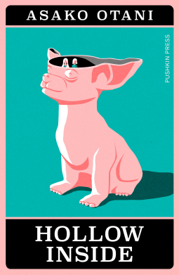 book cover for Hollow Inside