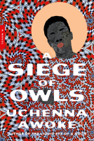 book cover for A Siege of Owls