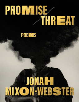 book cover for Promise/Threat