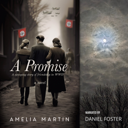 book cover for A Promise