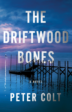 book cover for The Driftwood Bones