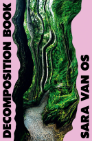 book cover for Decomposition Book