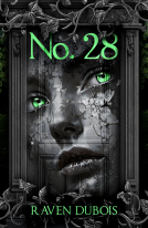 book cover for No. 28