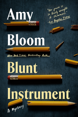 book cover for Blunt Instrument