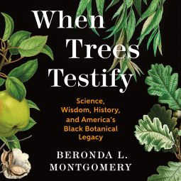 book cover for When Trees Testify