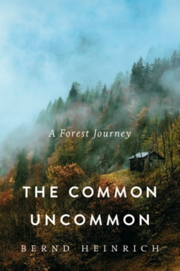 book cover for The Common Uncommon