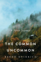 book cover for The Common Uncommon