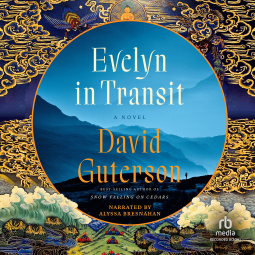 book cover for Evelyn in Transit