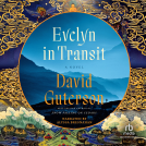 book cover for Evelyn in Transit