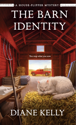 book cover for The Barn Identity