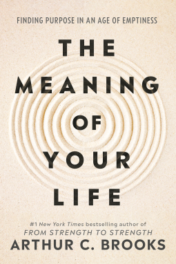 book cover for The Meaning of Your Life