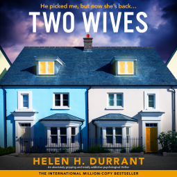 book cover for Two Wives