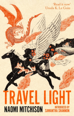 book cover for Travel Light