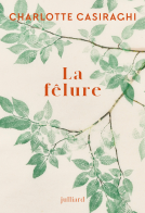 Couverture du livre pour La Fêlure
