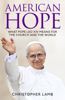book cover for American Hope