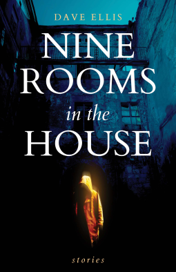 book cover for Nine Rooms in the House