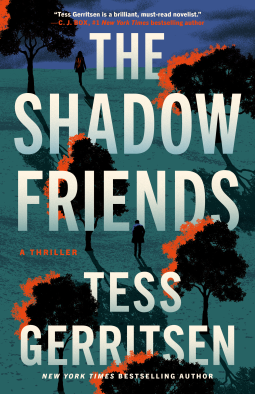 book cover for The Shadow Friends