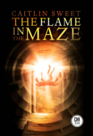 book cover for The Flame In the Maze