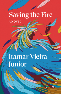 book cover for Saving the Fire